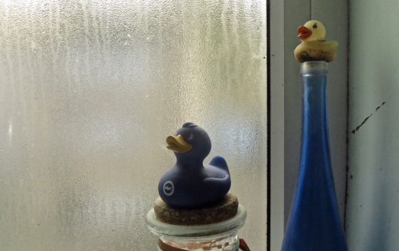 Bathroom ducks, 4/12/17